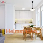 Rent 2 bedroom apartment of 48 m² in Praha