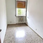 Rent 5 bedroom apartment of 100 m² in Jesi