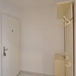 Rent 2 bedroom apartment of 48 m² in České Budějovice