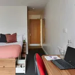 Rent 1 bedroom flat in Coventry