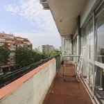 Rent a room in madrid