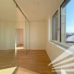 Rent 2 bedroom apartment of 47 m² in Linz