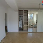 Rent 1 bedroom apartment in Mladá Boleslav