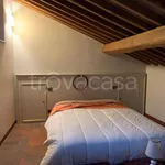 Rent 4 bedroom apartment of 70 m² in Lucca