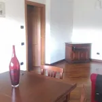 Rent 2 bedroom apartment of 73 m² in Roma