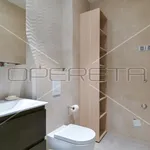 Rent 3 bedroom apartment of 110 m² in Zagreb