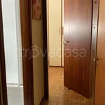 Rent 3 bedroom apartment of 60 m² in Roma