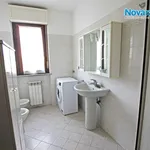 Rent 1 bedroom apartment of 30 m² in Novara