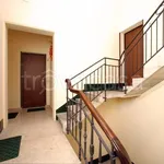 Rent 2 bedroom apartment of 60 m² in Trapani