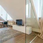 Rent 1 bedroom apartment of 538 m² in vienna