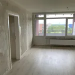 Miete 2 Schlafzimmer wohnung von 55 m² in Monheim am Rhein