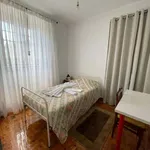 Rent 9 bedroom apartment in Pereiro