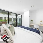 Rent 1 bedroom apartment in Auckland