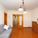 Rent 3 bedroom apartment of 75 m² in Rosignano Marittimo