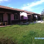 Rent 6 bedroom house of 50 m² in Asturias']