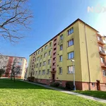 Rent 3 bedroom apartment in Louny