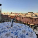 Rent 1 bedroom apartment of 60 m² in turin