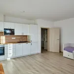 Rent 1 bedroom apartment in Hluboká nad Vltavou