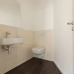 Rent 3 bedroom apartment of 102 m² in Leipzig