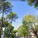 Rent 3 bedroom apartment of 70 m² in Ravenna