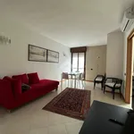 Rent 2 bedroom apartment of 65 m² in Novara