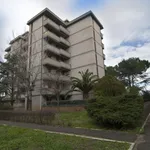 Rent 3 bedroom apartment of 45 m² in Follonica