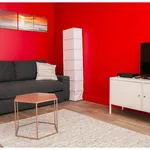 Rent 1 bedroom apartment of 517 m² in Marseille