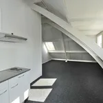 Huur 1 slaapkamer huis van 23 m² in Zeist