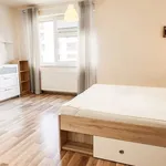 Rent 1 bedroom apartment of 1 m² in Capital City of Prague