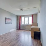 Rent 1 bedroom apartment of 41 m² in Plzeň