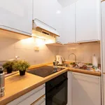 Rent 1 bedroom apartment in Rome