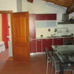 Rent 2 bedroom apartment of 50 m² in Livorno