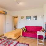 Miete 1 Schlafzimmer wohnung von 42 m² in Berlin