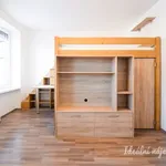 Rent 1 bedroom apartment in Brno