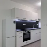 Rent 1 bedroom apartment of 34 m² in Brno