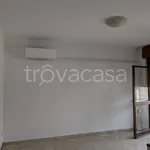 Rent 3 bedroom apartment of 80 m² in Padova