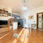 Rent 3 bedroom apartment of 65 m² in Pisa