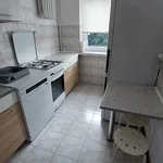 Rent 3 bedroom apartment of 52 m² in Łódź