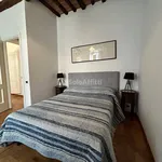 Rent 2 bedroom apartment of 40 m² in Siena