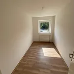 Rent 4 bedroom apartment of 77 m² in Flensburg