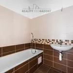 Rent 1 bedroom apartment of 41 m² in Ostrava