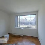 Rent 2 bedroom apartment in New York