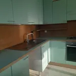 Rent 3 bedroom apartment of 98 m² in Roma