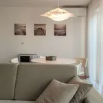 Rent 1 bedroom house of 37 m² in Milan