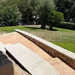 Rent 5 bedroom house of 160 m² in Olbia