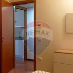 Rent 2 bedroom apartment of 50 m² in Ferrara