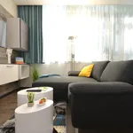 Rent 1 bedroom apartment of 24 m² in Offenbach