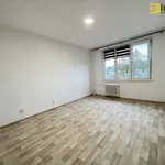 Pronajměte si 1 ložnic/e byt o rozloze 36 m² v Chodov