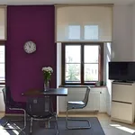 Rent 1 bedroom apartment of 40 m² in Brno