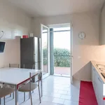 Villa in affitto a Padenghe sul Garda via Monte, 1, giardino privato, terrazzo, vista lago - TrovaCasa